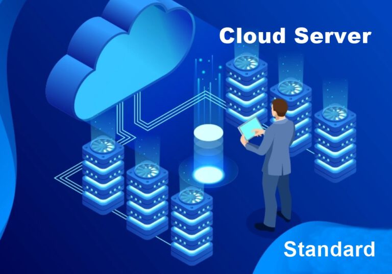 cloud server standard